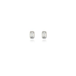 Load image into Gallery viewer, Elin Silver Earrings
