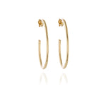 Load image into Gallery viewer, Palila Gold Hoop Earrings
