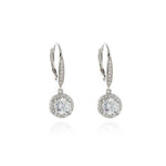 Load image into Gallery viewer, Kazu Silver Earrings
