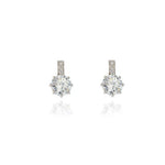 Load image into Gallery viewer, Lark Silver Earrings
