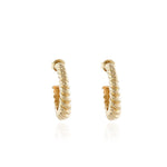 Load image into Gallery viewer, Cachet Gael Hoop Earrings plated in Gold
