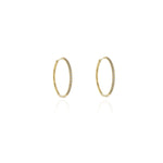 Load image into Gallery viewer, Vice Gold Hoop Earrings
