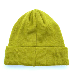 Tayroc D'Isere Lime Beanie