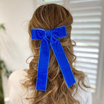 Load image into Gallery viewer, QueenMee Blue Velvet Hair Bow Hair Clip Alligator Clip
