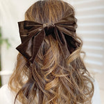 Load image into Gallery viewer, QueenMee Brown Hair Bow Velvet Bow Hair Clip
