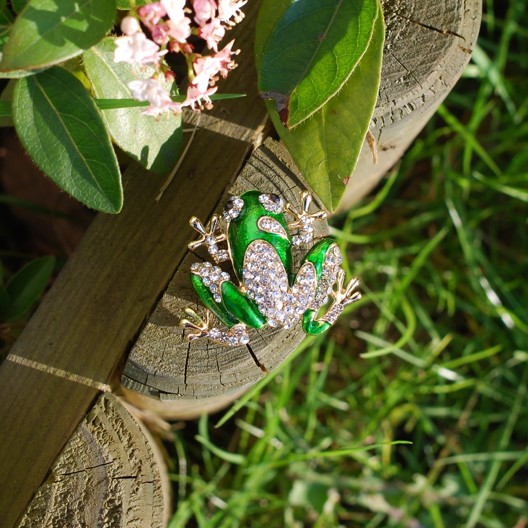 QueenMee Frog Brooch Enamel Pin with Rhinestone